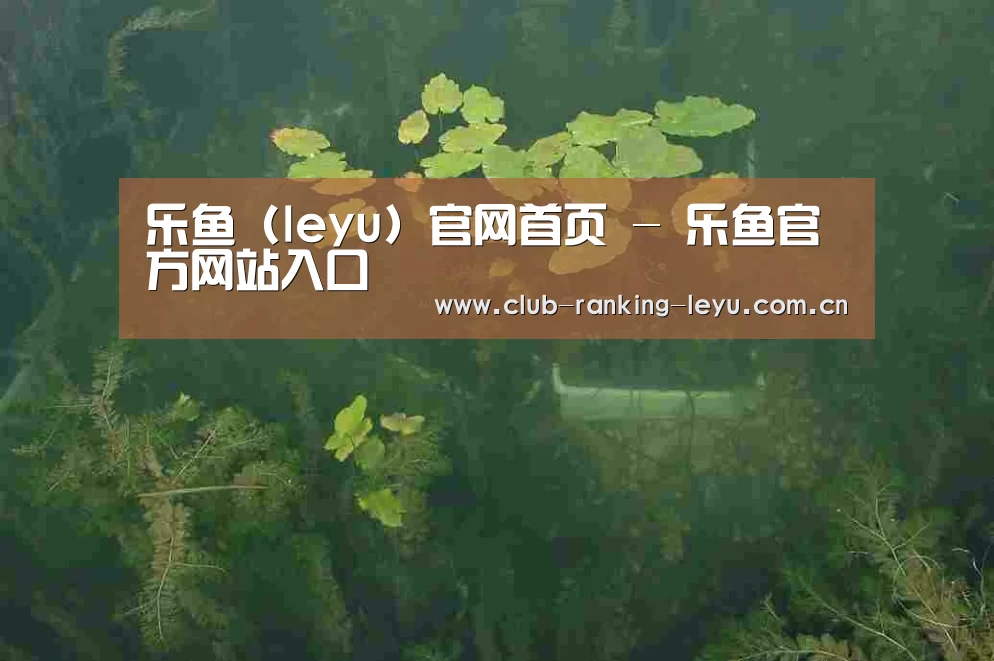 案例展示三
