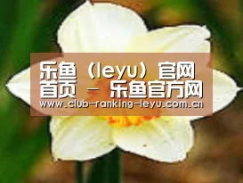 产品名称四