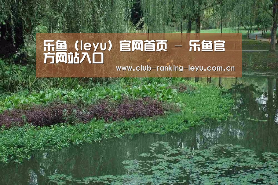 案例展示一
