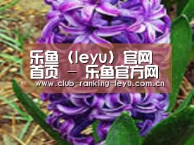 产品名称八